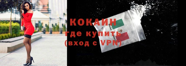 спиды Корсаков