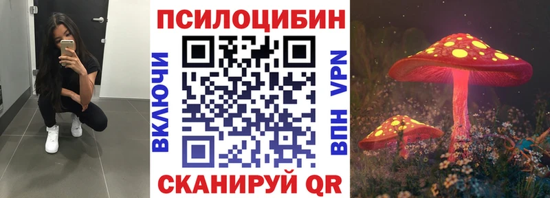 продажа наркотиков  Нижняя Тура  OMG маркетплейс  Галлюциногенные грибы ЛСД 
